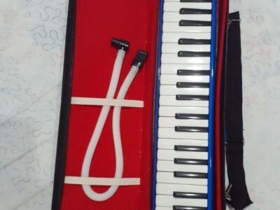 Escaleta Dolphin 37 teclas