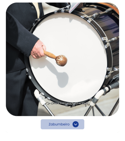 Categorias Preciso de Músico